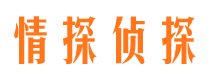 历下情探私家侦探公司